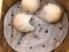 -捷信牛奶甜品世家(柳巷店)
