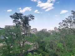 -莲花池公园