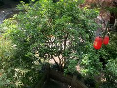 -杭州黄龙洞