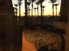 -拉斯维加斯永利酒店