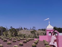 -漳州滨海火山岛自然生态风景区