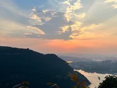 -铁山坪森林公园