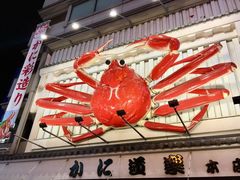 -蟹道乐(道顿堀本店)