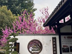-蜀大侠·侠客印象(园林博物馆店)