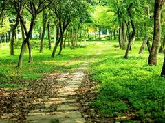 -永定河休闲森林公园