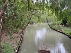-同里国家湿地公园