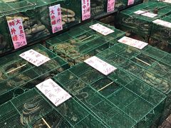 -荔城生鲜盛宴(番禺旗舰店)