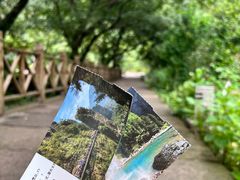 -雁荡山风景名胜区