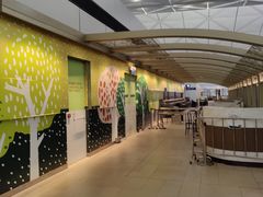 -麦当劳(机场DFS店)