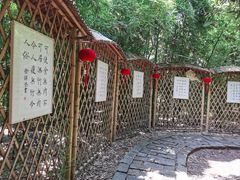 -同里国家湿地公园