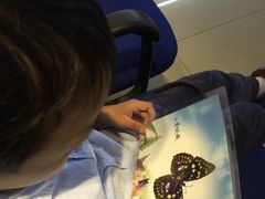 -上海昆虫博物馆