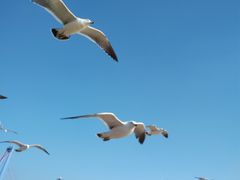-星海广场