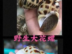-欧记·龙城港(欣都龙城店)
