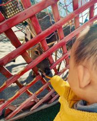 -萌宠亲子动物乐园(槐房万达店)