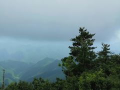 -牛背梁国家森林公园