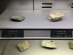 -中国地质大学逸夫博物馆