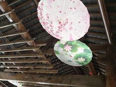 -蘑统田下·野生菌火锅