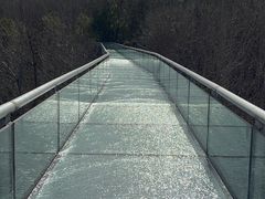 -中国西峡恐龙遗迹园