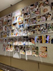 -臻康乃馨月子中心(集美店)