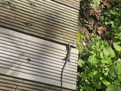 -丹东天桥沟景区