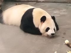 -无锡动物园·太湖欢乐园