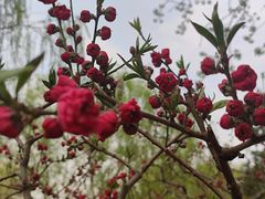 -元大都城垣遗址公园