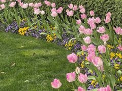 -浙江西子宾馆·瑶园咖啡厅