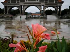 -顺峰山公园