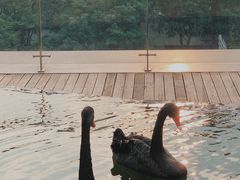 -行者书屋大堂吧 ·下午茶(南京圣和府邸酒店)