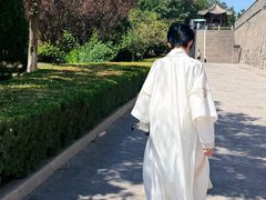 -蓬莱阁景区