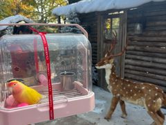 -HERRE·FARM 赫尔露营农场·团建聚会包场