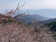 -天津盘山风景名胜区