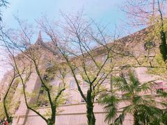 -武汉大学-樱园