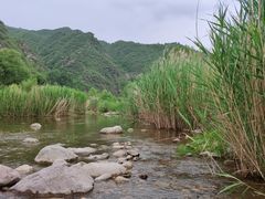-白河湾生态旅游一条川