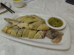 白切鸡-汇兴源餐馆(小北路店)