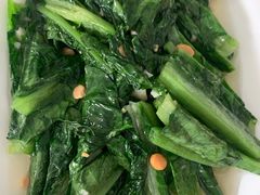 油麦菜-众味海鲜大排档·活海鲜·潮汕味(南澳店)