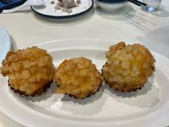 -丁老爷子苏香圆