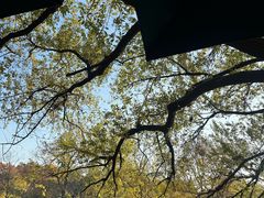-星巴克(西湖天地店)