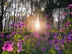 -苏州河梦清园环保主题公园