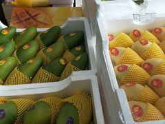 -西郊国际农产品交易中心