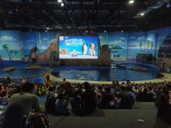 -华夏文旅海洋公园