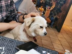 -零几体验diy皮具工作室(振业城店)