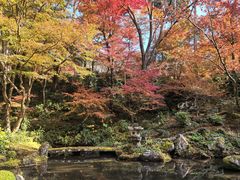 -三千院