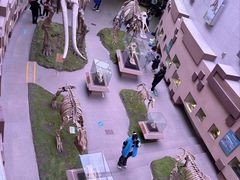 -陕西自然博物馆