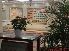 -上海市静安区教育学院附属学校(江宁校区)