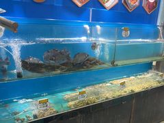 -高家烧鸽子烧烤店63年