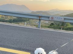 -江南天池