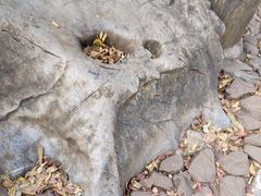-灵隐飞来峰景区