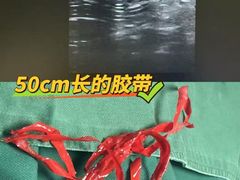 -科道动物医院·急重症中心(万达院)