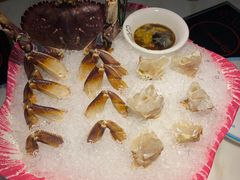 -田园肥牛鲍鱼先生(新北店)